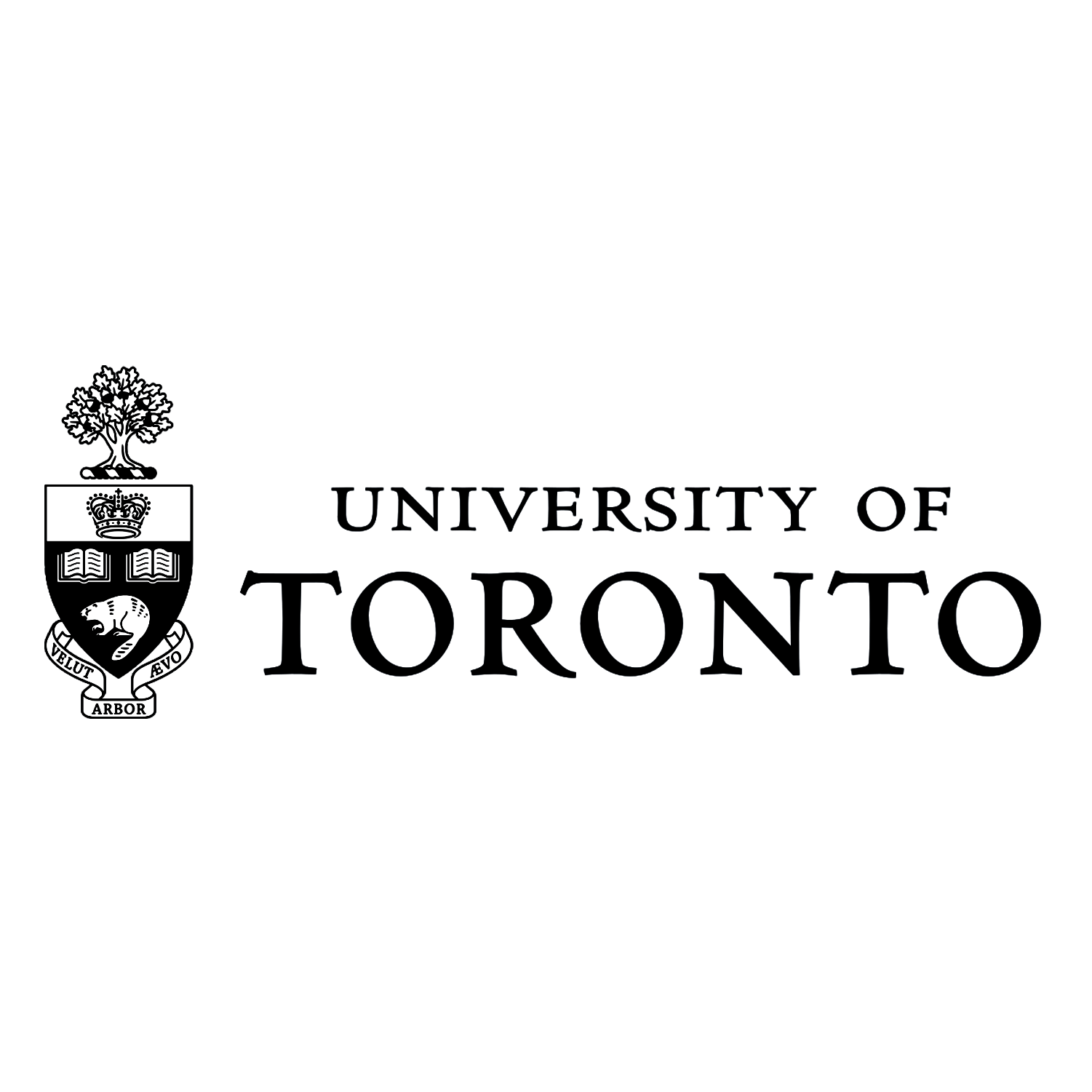 University Of Toronto